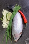 Elderflow Trout from Prepped