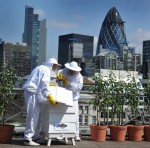 Magners Urban Hive