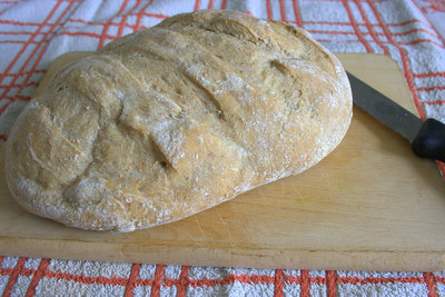 Whole wheat walnut bread loaf