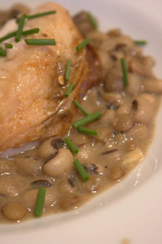 Harissa Roast Chicken with beans and lentils