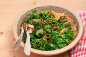 Kale Salad with Fat free mustard dressing