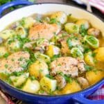 Close up of French chicken casserole, golden chicken thighs in a delicious broth with potatoes, leeks and mushrooms.