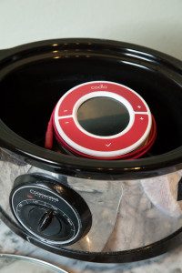 Sous Vide cooking made affordable with the easy to use Codlo
