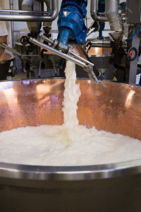Filling the copper vats with milk when making Grana Padano PDO