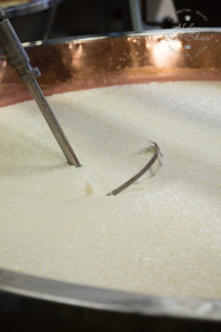 Grana Padano PDO - processing the milk