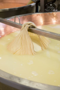 Grana Padano PDO - A new cheese ready to be shaped