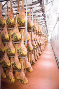 The maturing room where the fresh air of St Daniele works its magic on the maturing prosciutto