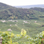 The story behind Prosecco Superiore CV DOCG - landscape