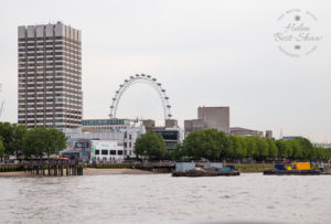 Cruise down The Thames - Embankment to Tower Bridge - The London Eye