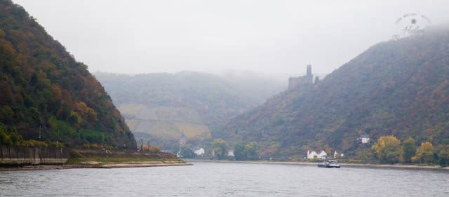 The Middle Rhine, or Rhine gorge was formed by downwards erosion of the river. With its dense mysterious forested banks and cliff top castles it is the stuff of Wagnerian legend, and easy to imagine the Rhinemaidens playing in the water, and singing as they guard their gold.