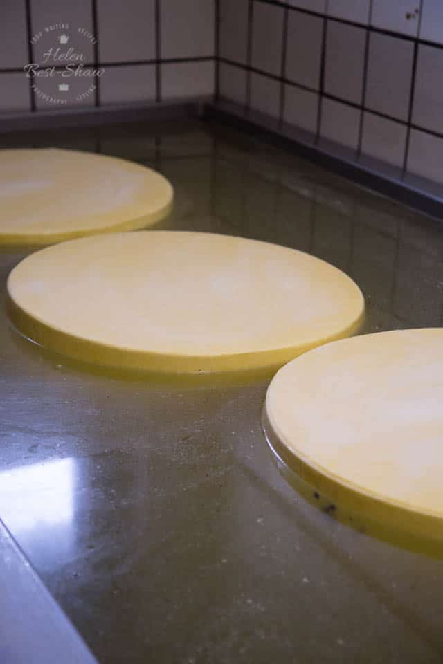 Mountain cheese being brined