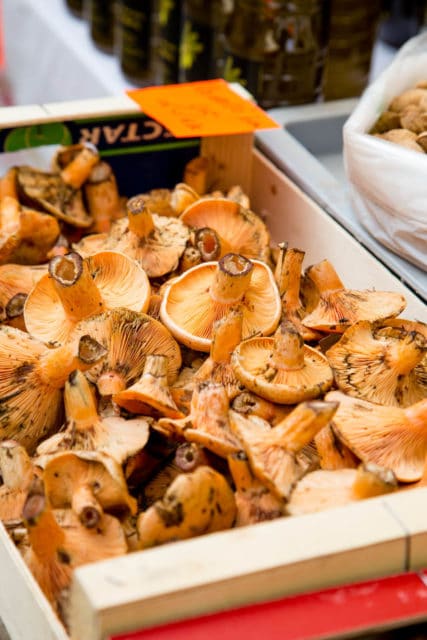 Mushrooms for sale in the market of Ventalló Catalonia