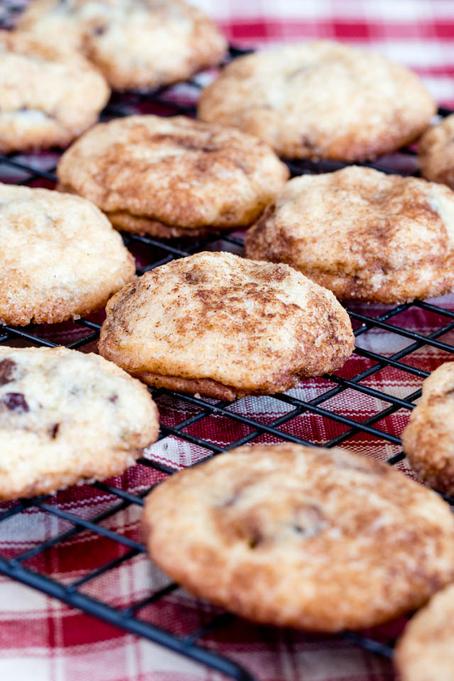 Snickerdoodle biscuits - an odd name for a delicious, cinnamon dusted treat! These contain cranberries and chocolate chips