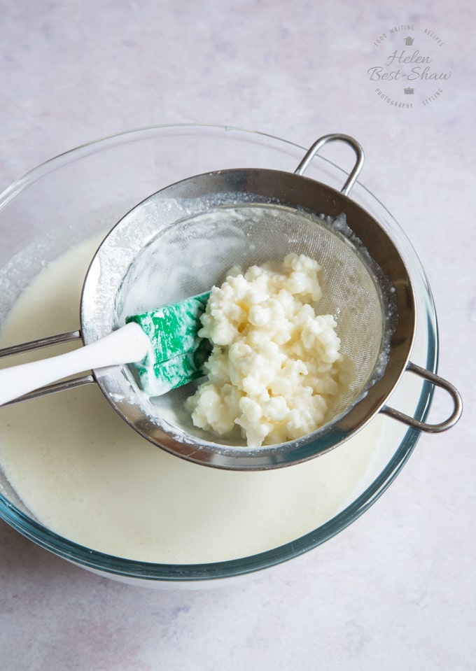 Kefir grains in a sieve above a glass bowl full of fermented kefir. A green-bladed spatula sits in the sieve with the grains.