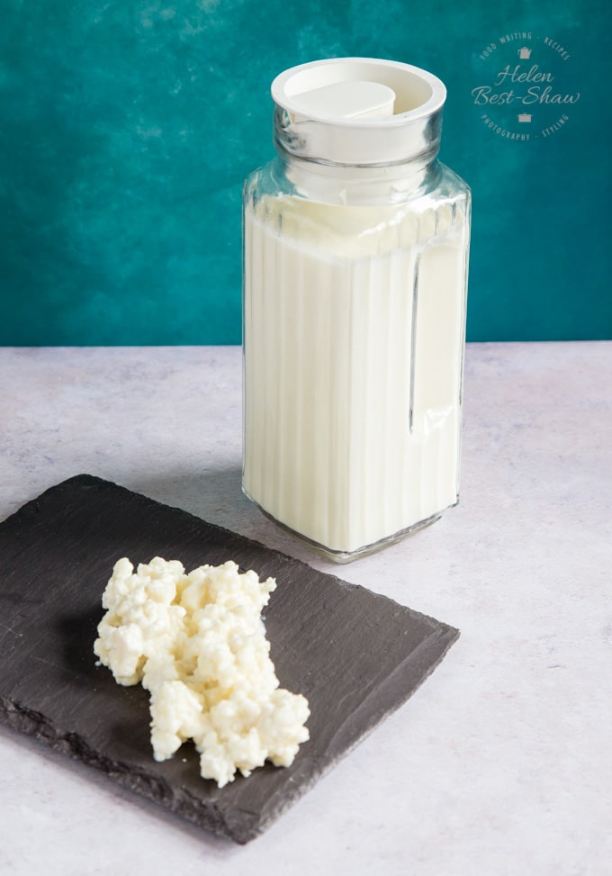 A jug of kefir on a light coloured table, against a blue background; in the foreground are some kefir grains on a slate.