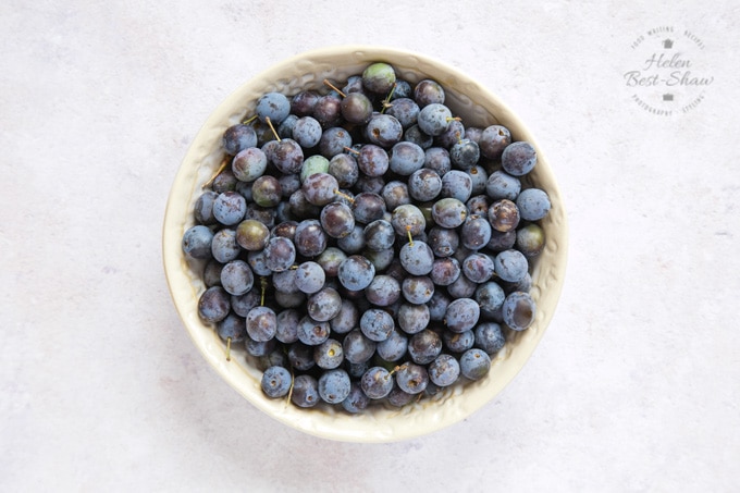 A bowl full of ripe sloes