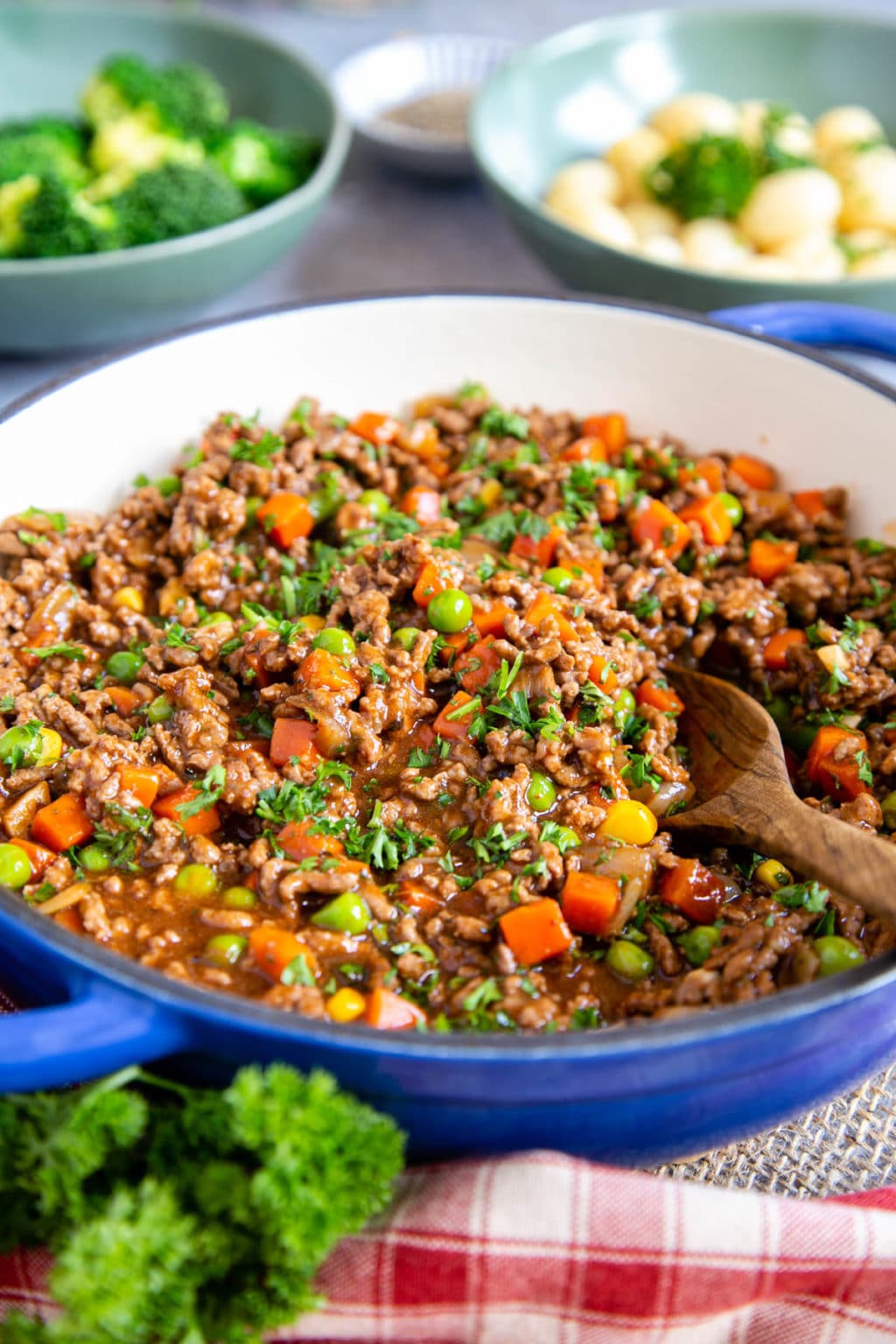 Quick & Easy Savoury Mince Recipe - Helen's Fuss Free Flavours