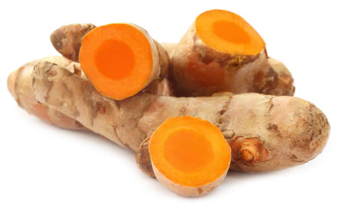 Turmeric roots look like small pieces of a ginger root, with a dry knobbly skin and bright orange flesh.