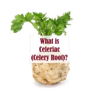 Celaric root and stalks on a white background