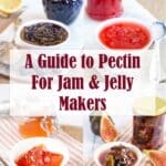collage of images of 4 different jams and jellies. text overlay a guide to pectin for jam and jelly makers