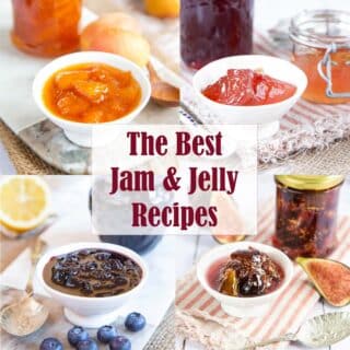 A montage of jams, jellies and conserves with the text, 'The best jam and jelly recipes'.