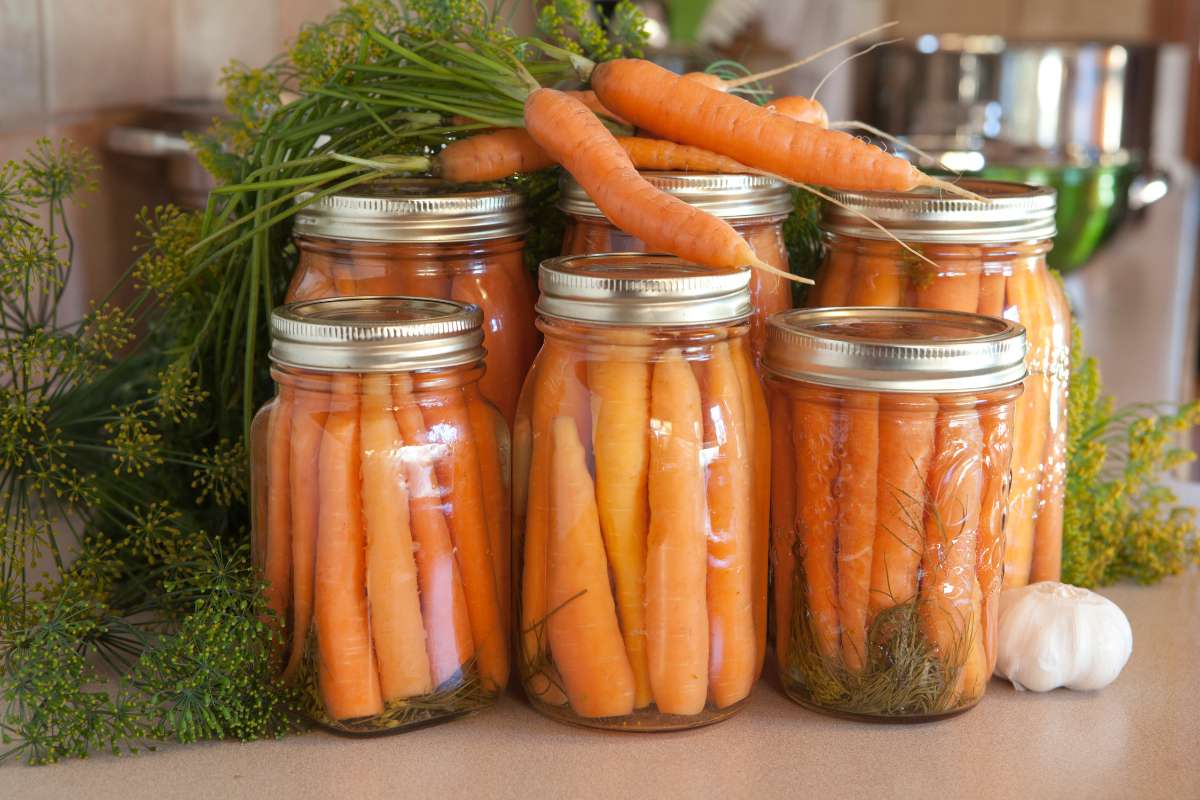 Jars of preserved carrots in various sizes.
