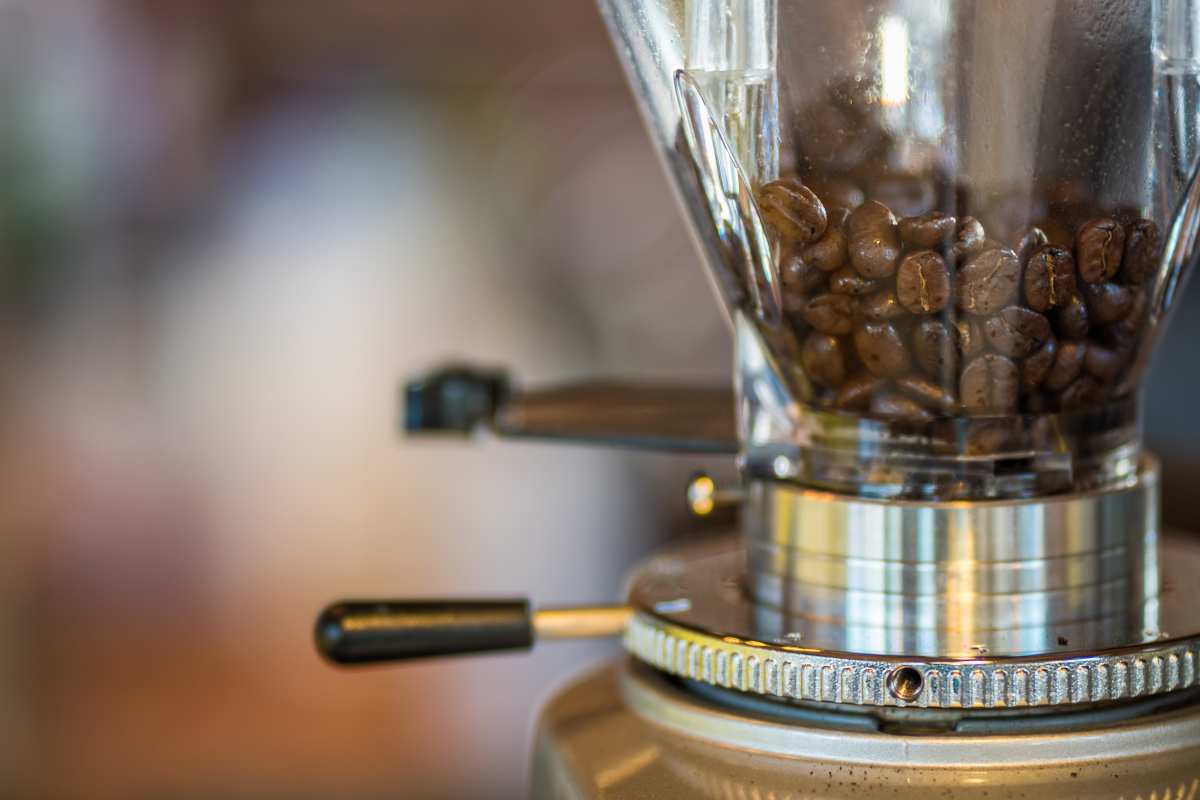 A close up of coffee beans in a glass coffee grinder hopper, ready to be freshly ground for a delicious morning cup.