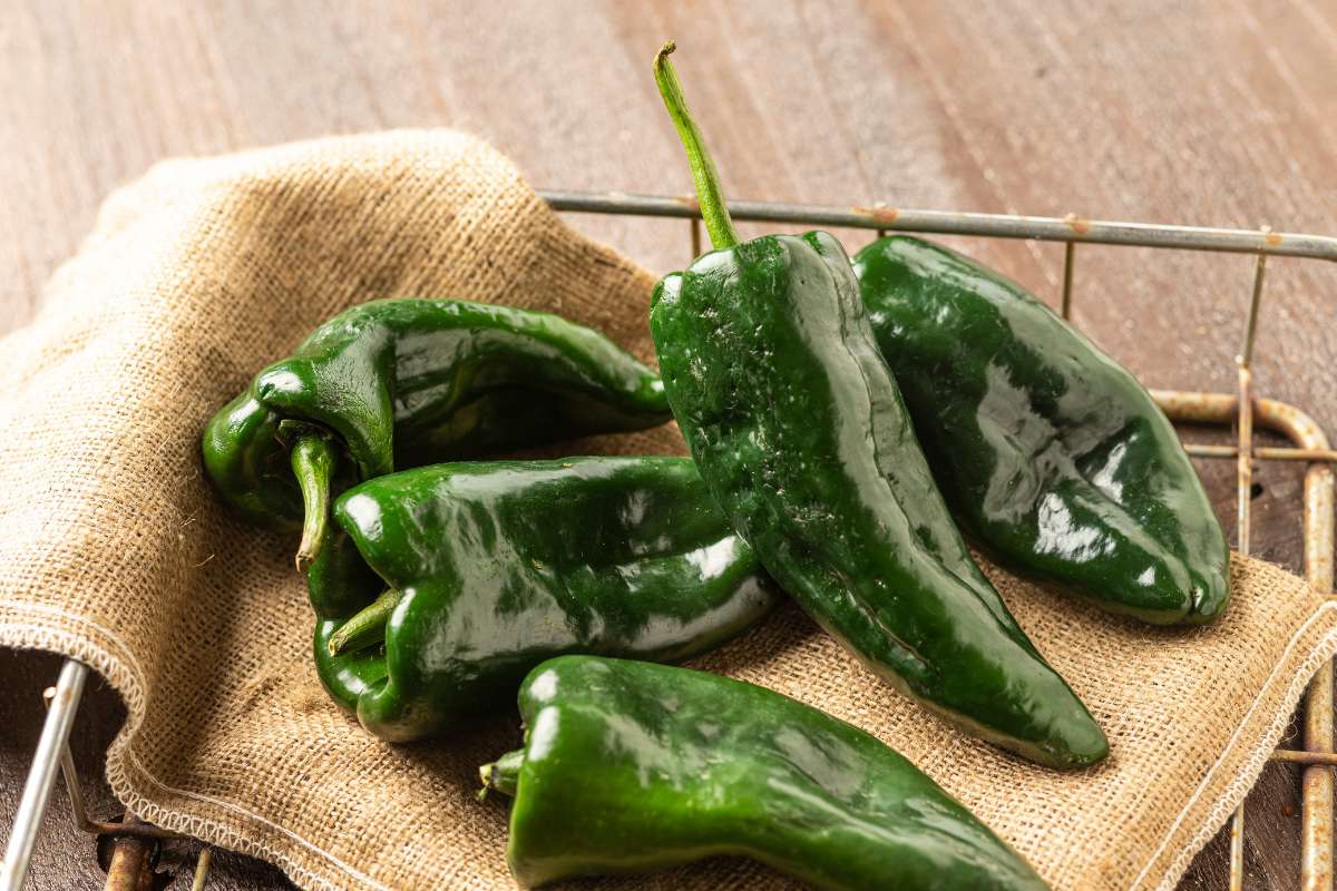 Five shiny green poblano peppers on a hessian cloth.