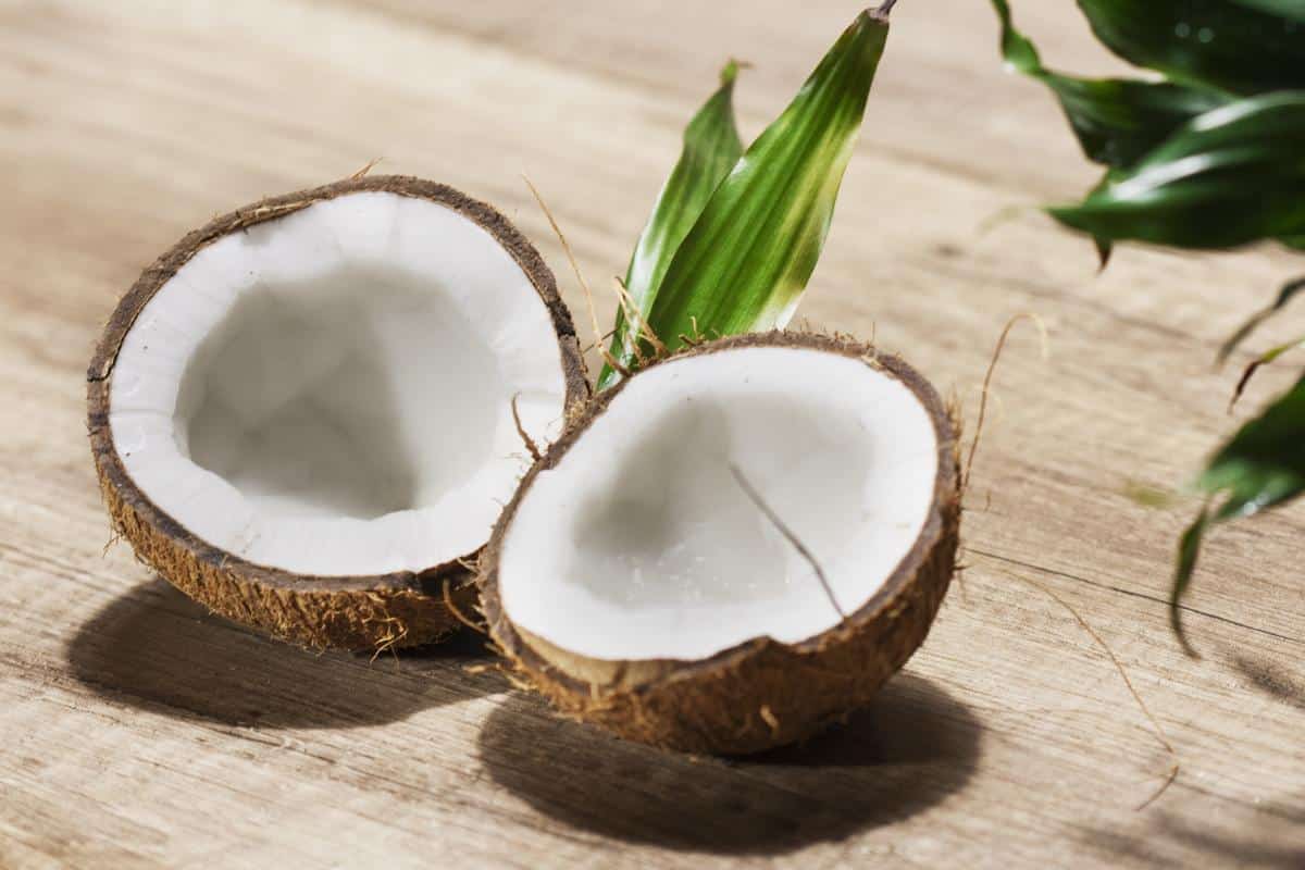 A coconut split in two, showing the white flesh.