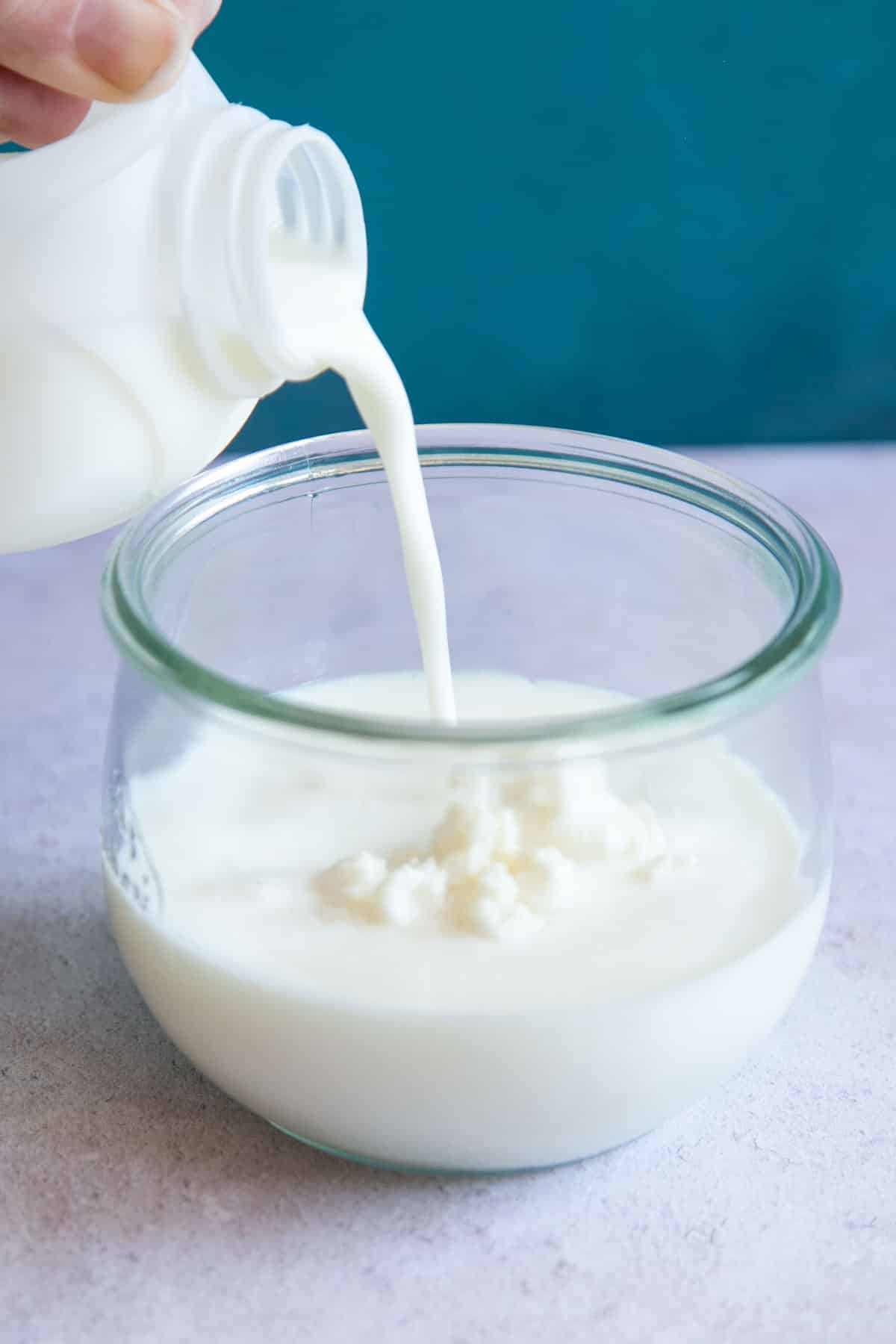 Storing kefir grains - milk is being poured into a jar of grains, prior to storage in the fridge.