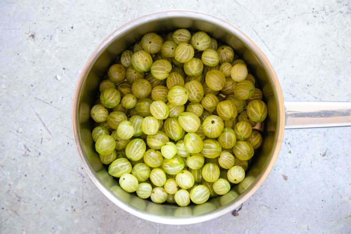 a pan of prepared gooseberries ready to be cooked