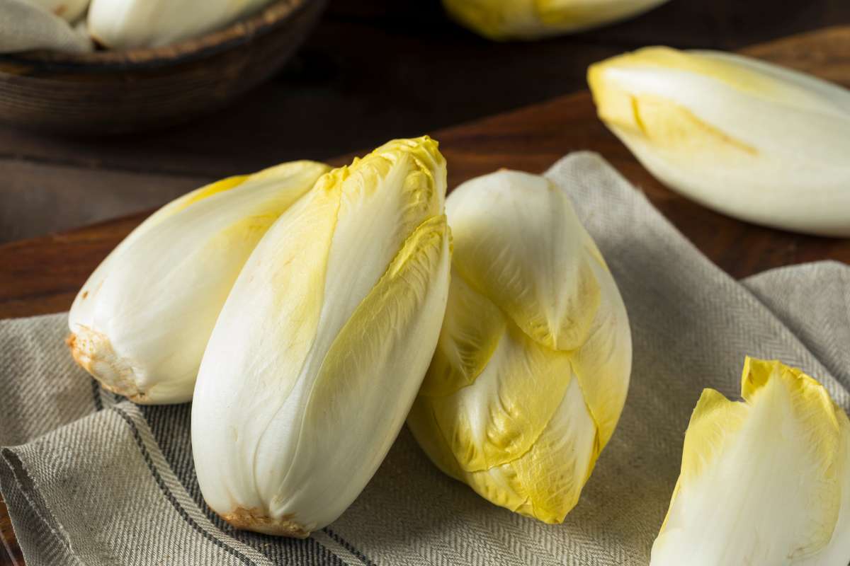 Also known as chicory, Belgian endive boasts a pleasantly bitter yet subtly sweet flavor profile.
