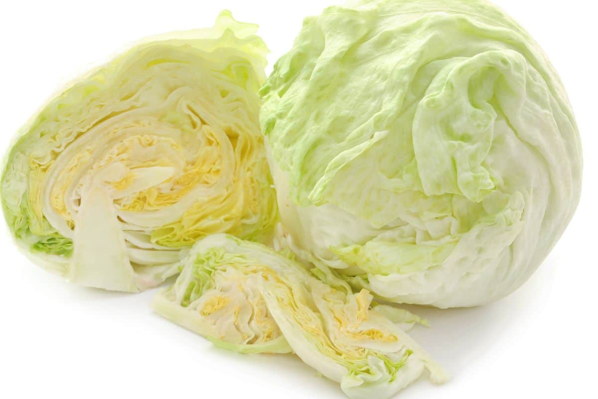 Iceberg lettuces, cut and whole  - love it or hate it?