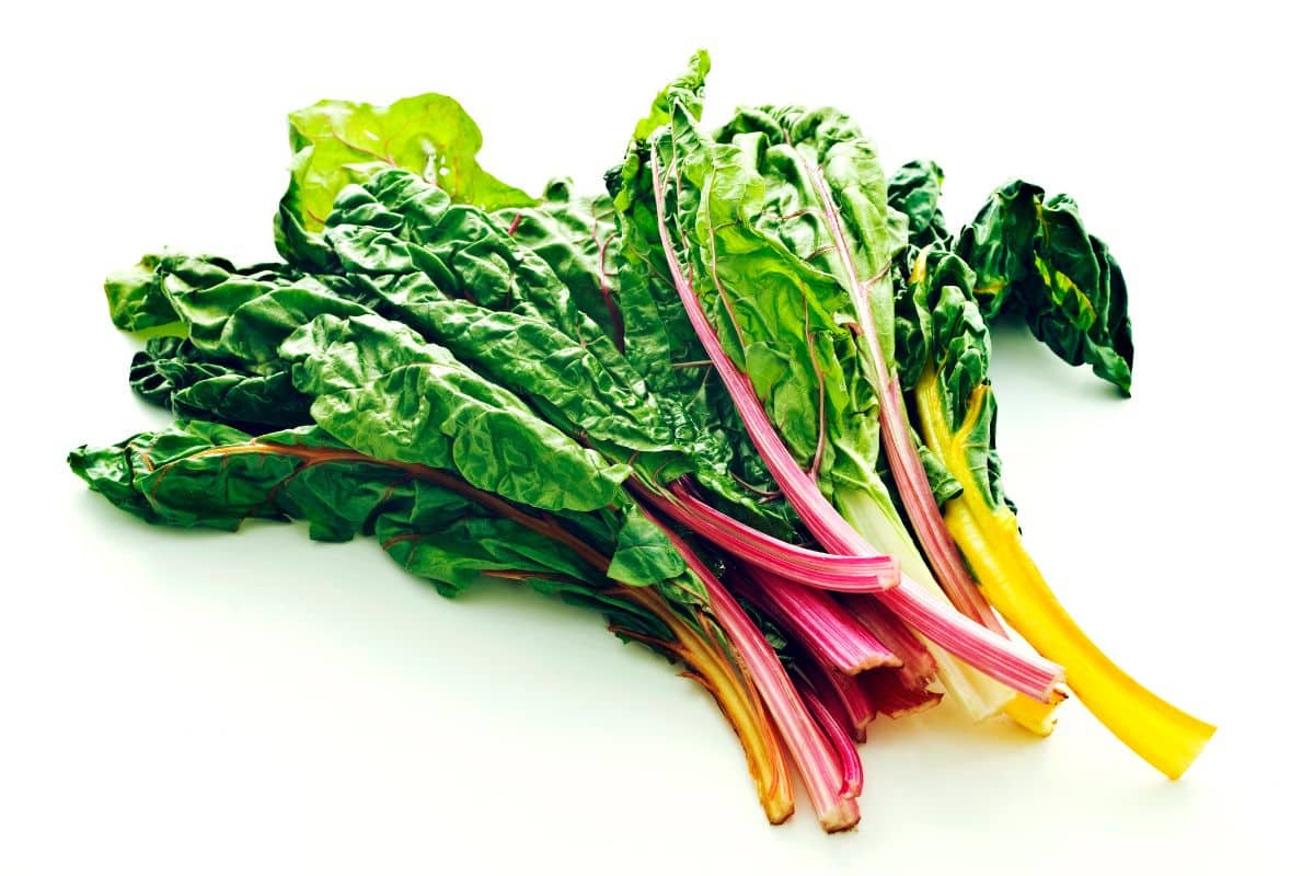 Rainbow chard has green leaves and colourful stems in orange, pink, yellow and white.