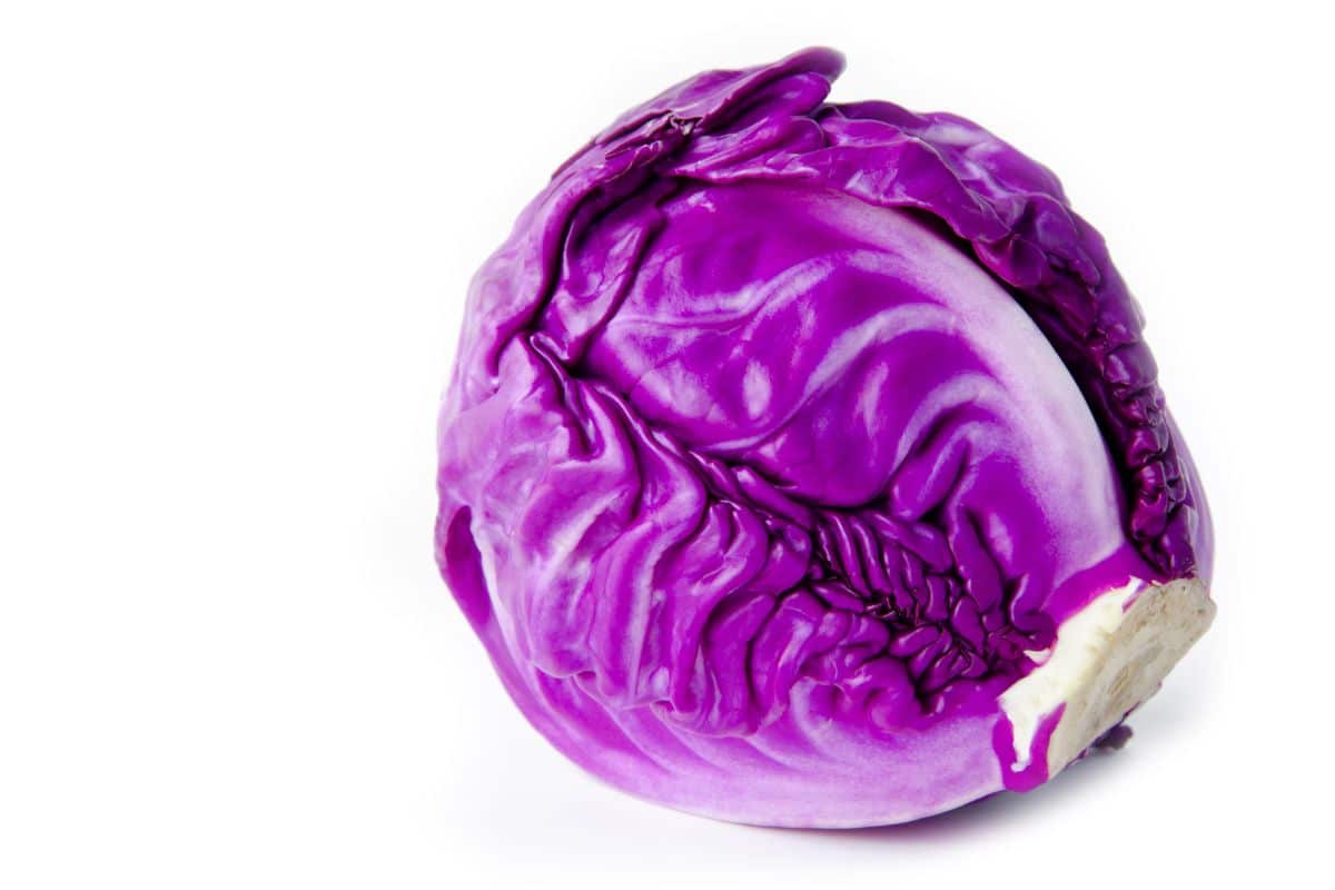 This red purple is more of a luminous purple shade and will look stunning shredded in salad.