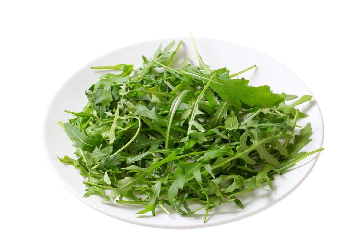 A simple bowl of rocket leaves.