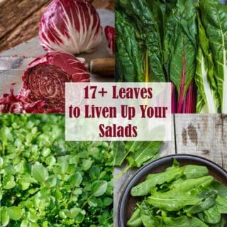 17 Leaves to Liven Up Your Salads