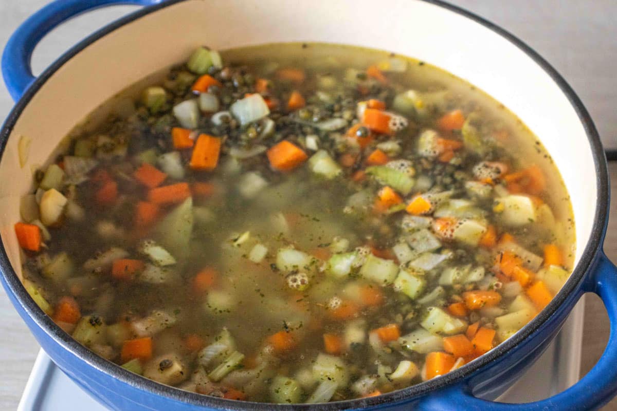 The lentils with stock added for braising