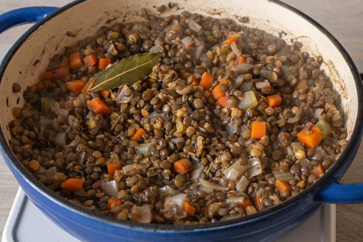 The braised French lentil side dish ready to serve as all liquid has been absorbed.