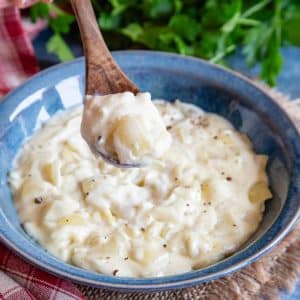 Close up on a wooden spoon holding onion sauce above a bowl of more sauce