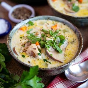 Close up of a bowl of creamy chicken and mushroom soup