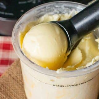 Close up of the scoop of delicious mango frozen yoghurt