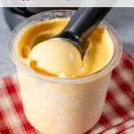 Ninja Creami passion fruit ice cream in the pot ready to serve