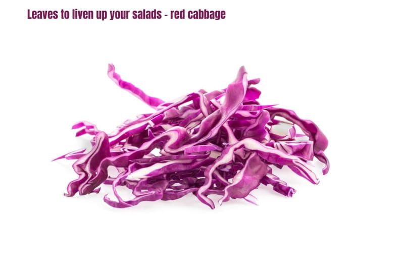 a pile of shredded red cabbage