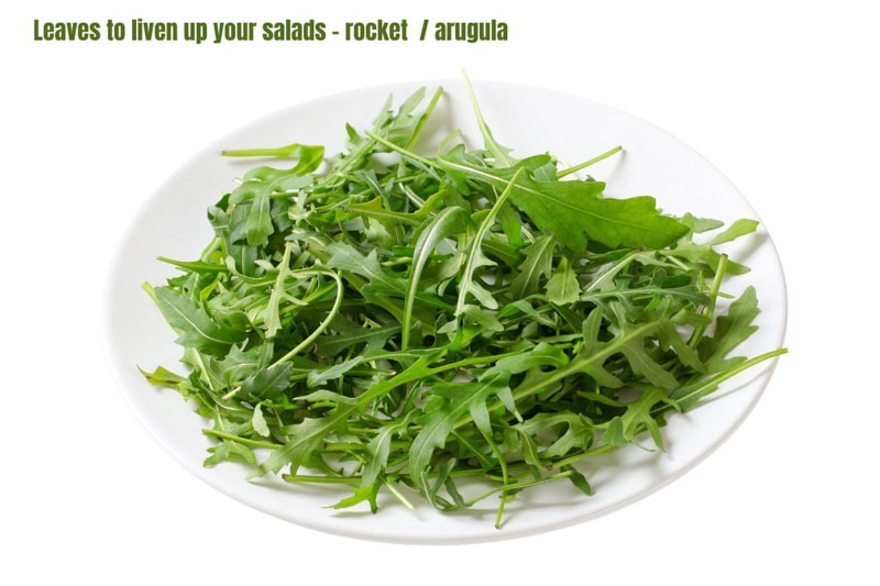 A simple bowl of rocket leaves.