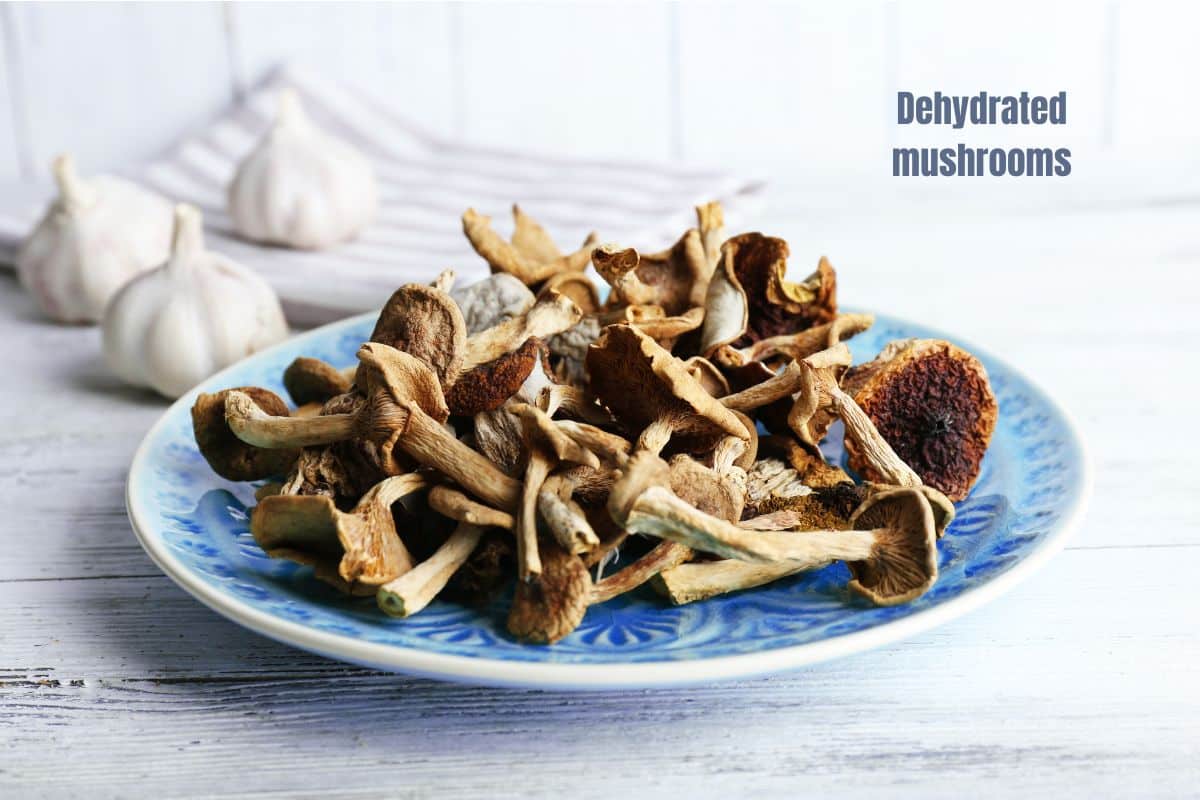 a blue plate of mixed dried mushrooms