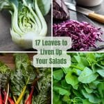 a collage of 4 images of different salad leaves