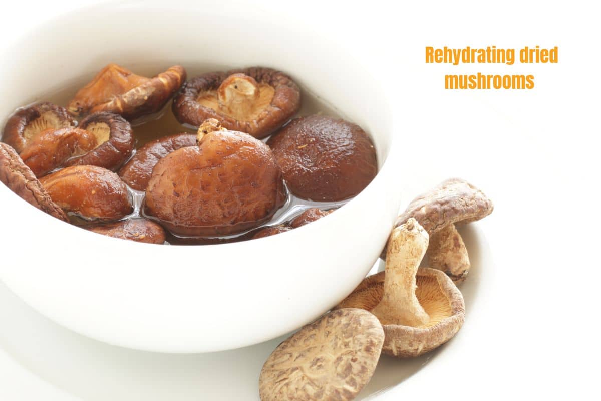 a bowl of water with dried mushrooms which are rehydrating