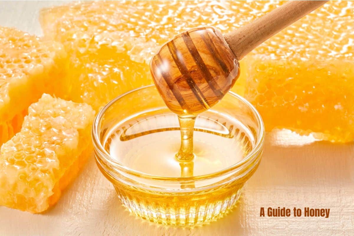honey dribbling off a honey dipper into a bowl honeycomb behind