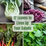 a collage of 4 images of different salad leaves